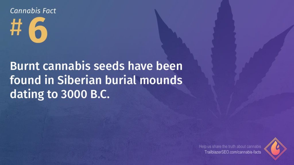 Cannabis Facts 100+ Facts about Marijuana History, Effects & Legality