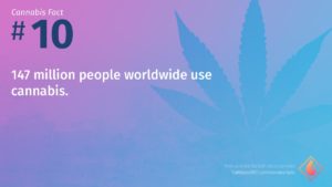 Cannabis Fact 10