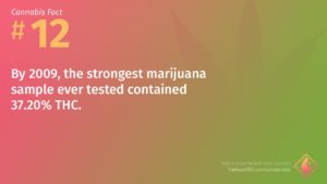 Cannabis Fact 12