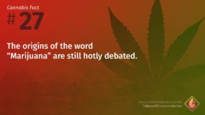 Cannabis Fact 27