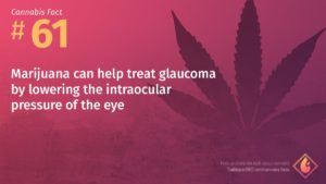 Cannabis Fact 61
