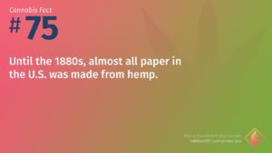 Cannabis Fact 75