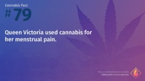 Cannabis Fact 79